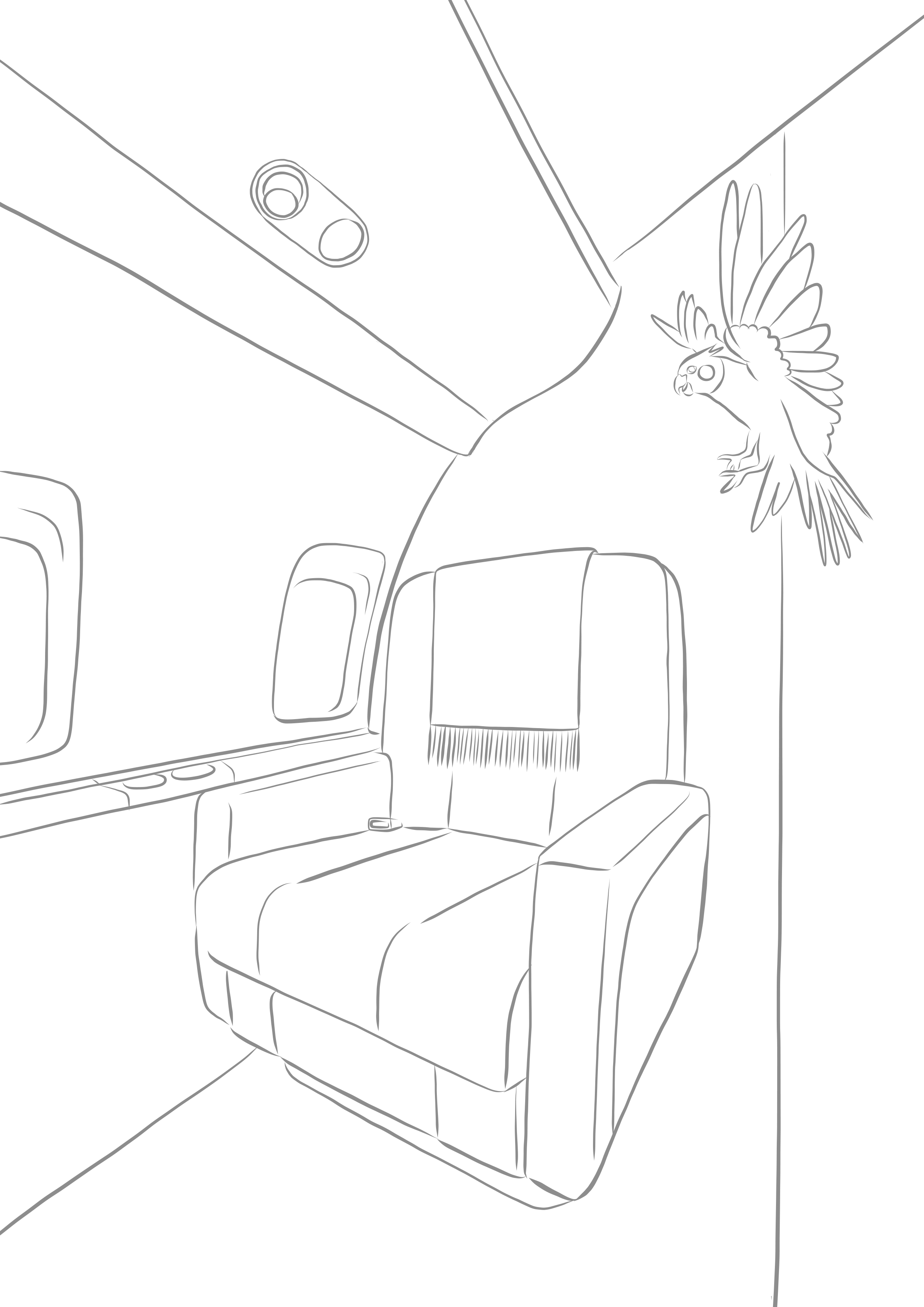 Color-in-VistaJet-Cabin.jpg