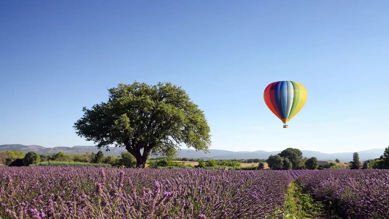 Aerial Adventures at Airelles Gordes La Bastide