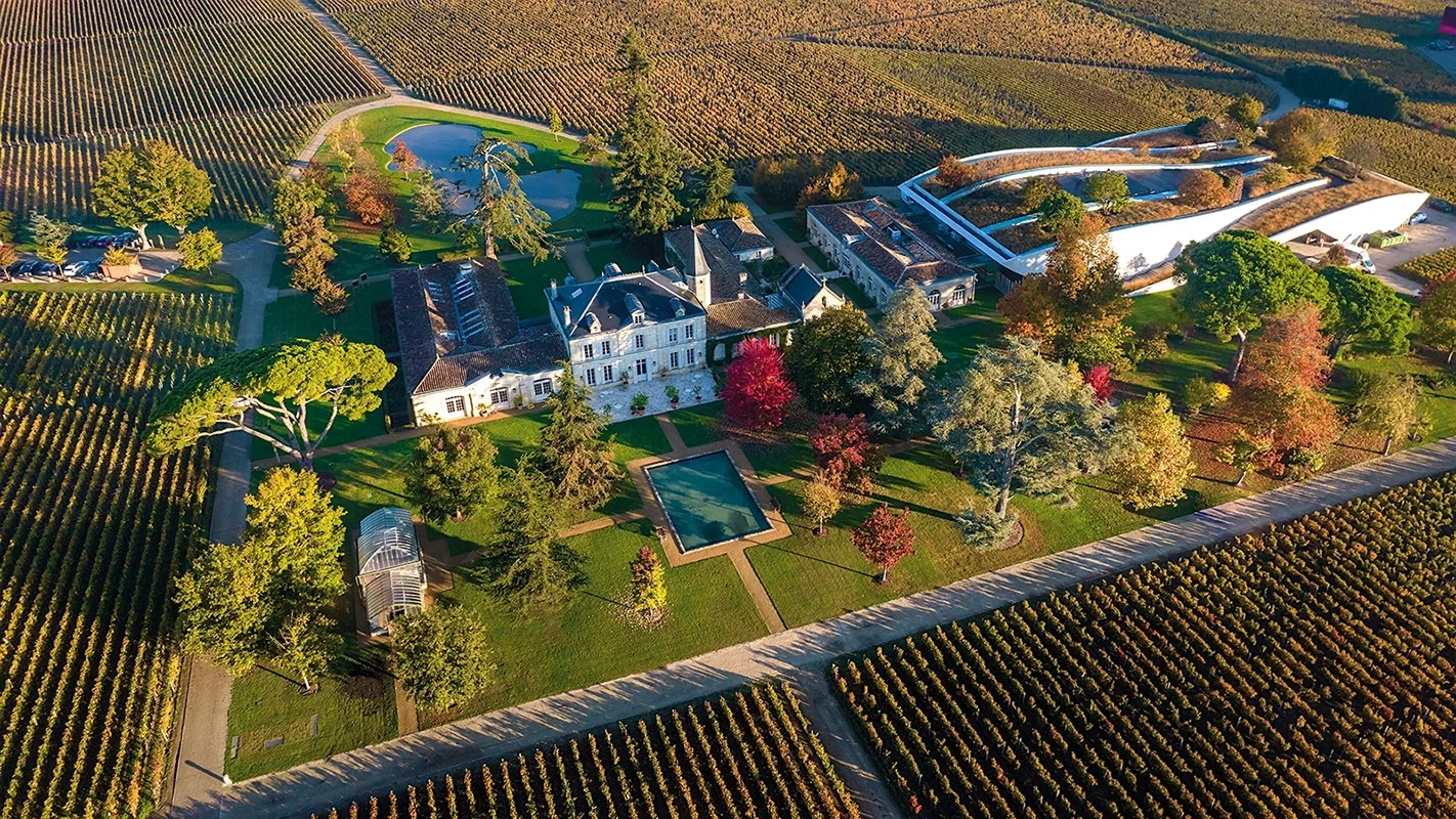 Bordeaux wine experience