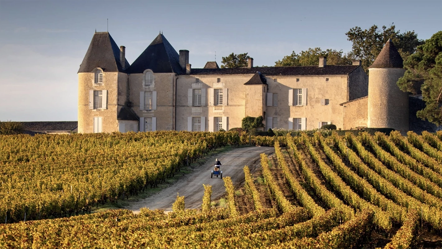 Chateau Cheval Blanc fields