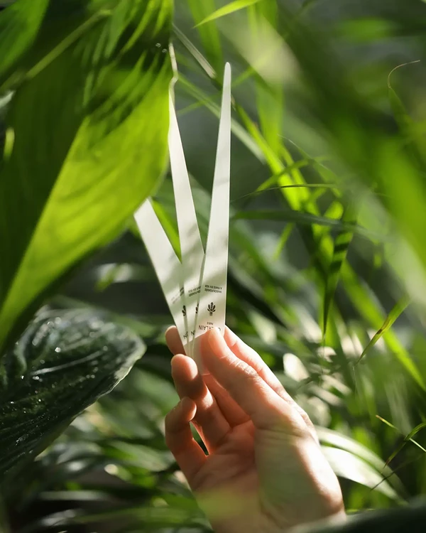 test the perfume in the garden